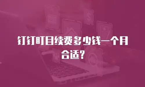 钉钉盯目续费多少钱一个月合适？