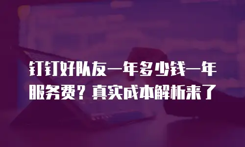 钉钉好队友一年多少钱一年服务费？真实成本解析来了