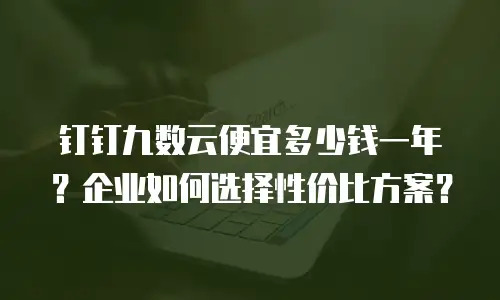 钉钉九数云便宜多少钱一年？企业如何选择性价比方案？