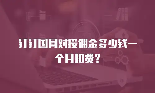 钉钉国网对接佣金多少钱一个月扣费？