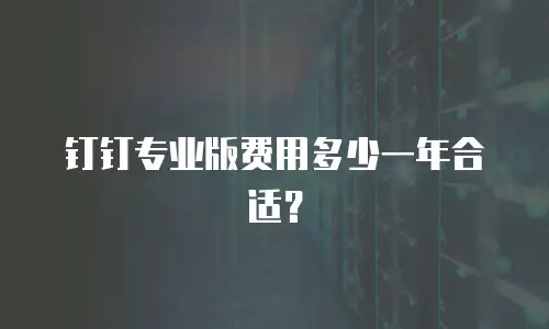 钉钉专业版费用多少一年合适？