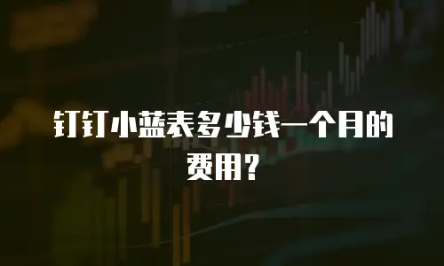 钉钉小蓝表多少钱一个月的费用？