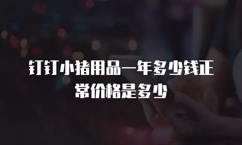钉钉小猪用品一年多少钱正常价格是多少