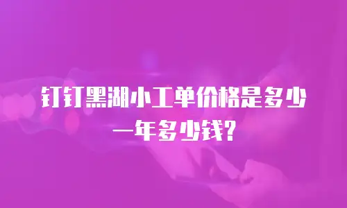 钉钉黑湖小工单价格是多少一年多少钱？
