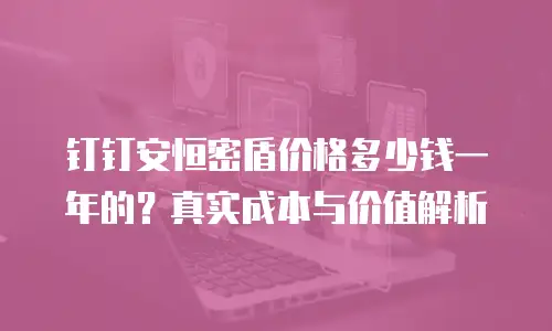 钉钉安恒密盾价格多少钱一年的？真实成本与价值解析