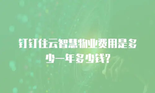 钉钉住云智慧物业费用是多少一年多少钱？