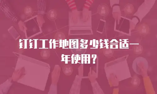 钉钉工作地图多少钱合适一年使用？