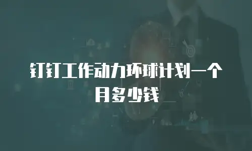 钉钉工作动力环球计划一个月多少钱