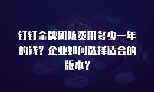 钉钉金牌团队费用多少一年的钱？企业如何选择适合的版本？