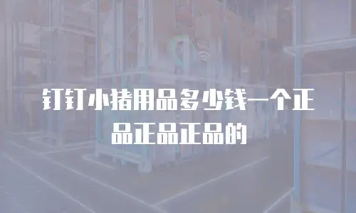 钉钉小猪用品多少钱一个正品正品正品的
