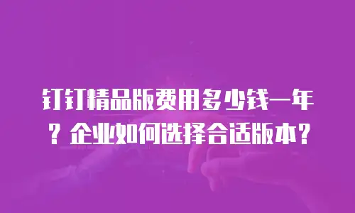 钉钉精品版费用多少钱一年？企业如何选择合适版本？