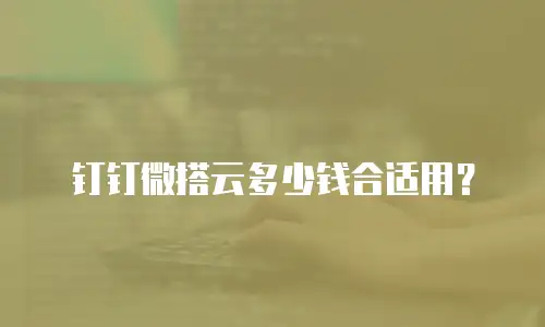 钉钉微搭云多少钱合适用？