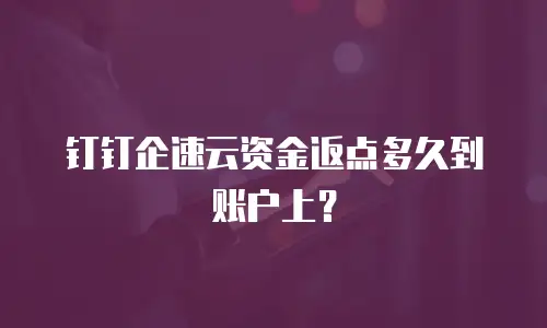 钉钉企速云资金返点多久到账户上？