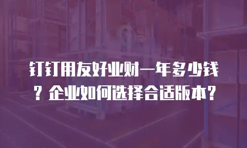 钉钉用友好业财一年多少钱？企业如何选择合适版本？