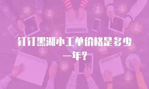钉钉黑湖小工单价格是多少一年？