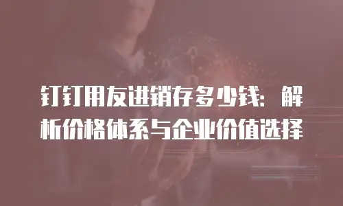 钉钉用友进销存多少钱：解析价格体系与企业价值选择