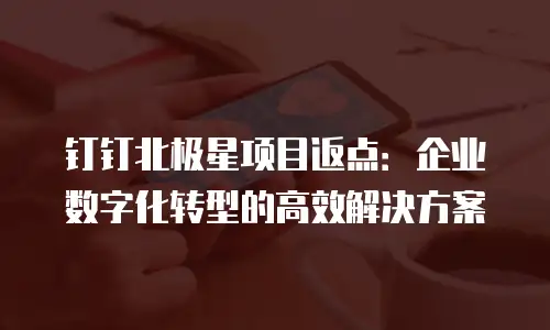钉钉北极星项目返点：企业数字化转型的高效解决方案