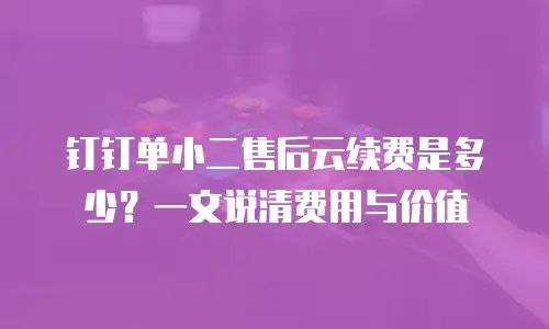 钉钉单小二售后云续费是多少？一文说清费用与价值