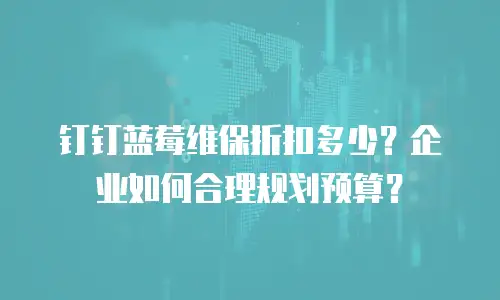 钉钉蓝莓维保折扣多少？企业如何合理规划预算？
