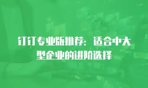 钉钉专业版推荐：适合中大型企业的进阶选择