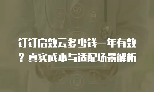 钉钉启效云多少钱一年有效？真实成本与适配场景解析