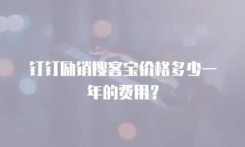 钉钉励销搜客宝价格多少一年的费用？