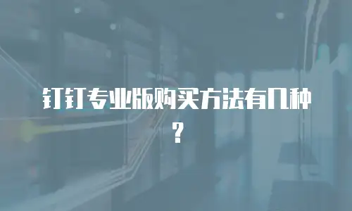 钉钉专业版购买方法有几种？