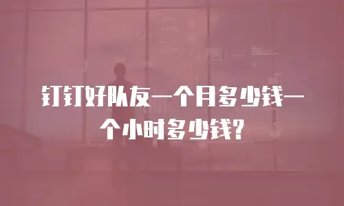 钉钉好队友一个月多少钱一个小时多少钱？