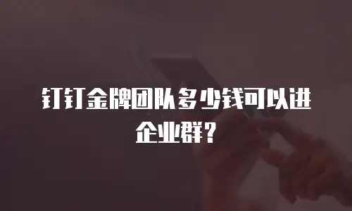 钉钉金牌团队多少钱可以进企业群？