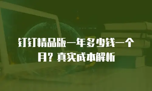 钉钉精品版一年多少钱一个月？真实成本解析