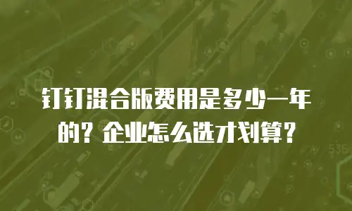 钉钉混合版费用是多少一年的？企业怎么选才划算？