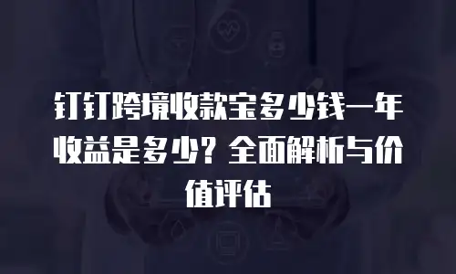 钉钉跨境收款宝多少钱一年收益是多少？全面解析与价值评估