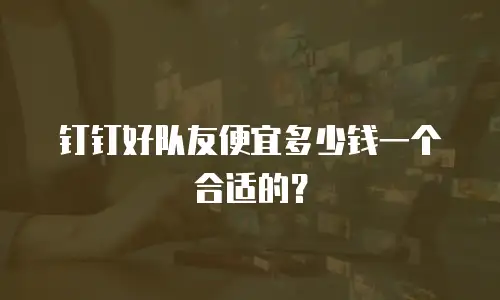 钉钉好队友便宜多少钱一个合适的？