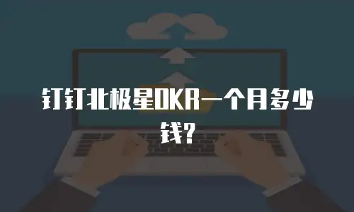 钉钉北极星OKR一个月多少钱？