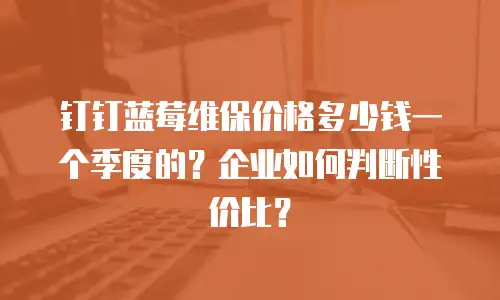 钉钉蓝莓维保价格多少钱一个季度的？企业如何判断性价比？