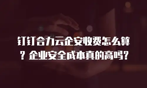 钉钉合力云企安收费怎么算？企业安全成本真的高吗？