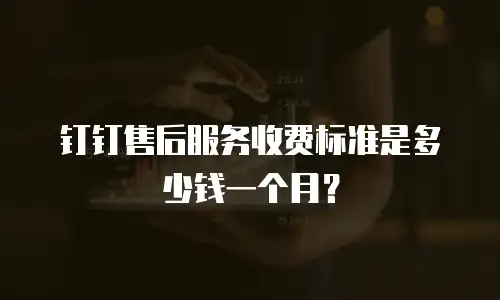 钉钉售后服务收费标准是多少钱一个月？