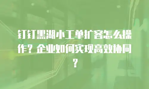 钉钉黑湖小工单扩容怎么操作？企业如何实现高效协同？