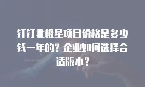 钉钉北极星项目价格是多少钱一年的？企业如何选择合适版本？