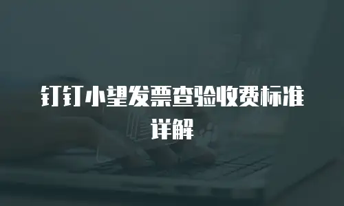 钉钉小望发票查验收费标准详解