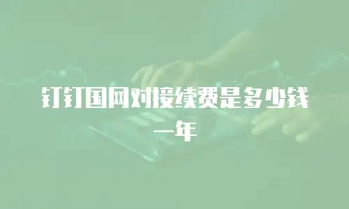 钉钉国网对接续费是多少钱一年