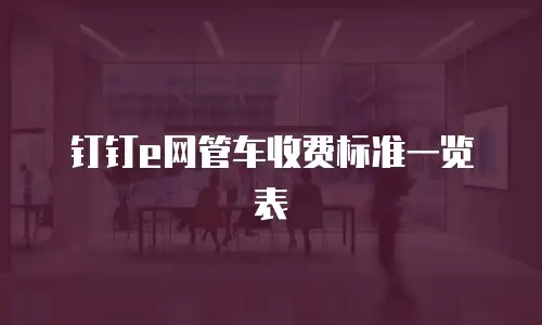 钉钉e网管车收费标准一览表