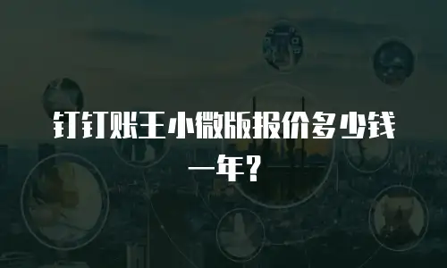 钉钉账王小微版报价多少钱一年？
