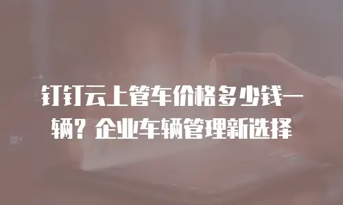 钉钉云上管车价格多少钱一辆？企业车辆管理新选择
