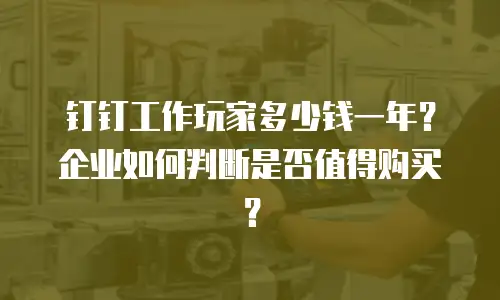 钉钉工作玩家多少钱一年？企业如何判断是否值得购买？