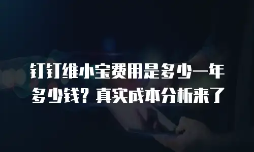 钉钉维小宝费用是多少一年多少钱？真实成本分析来了