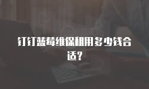 钉钉蓝莓维保租用多少钱合适？