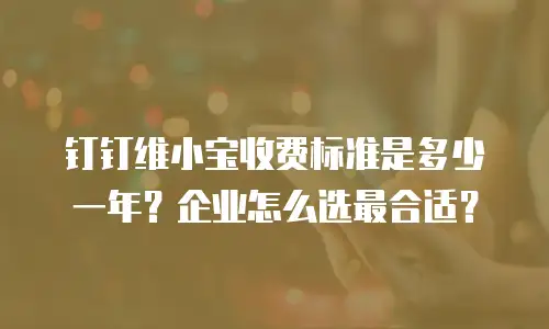 钉钉维小宝收费标准是多少一年？企业怎么选最合适？