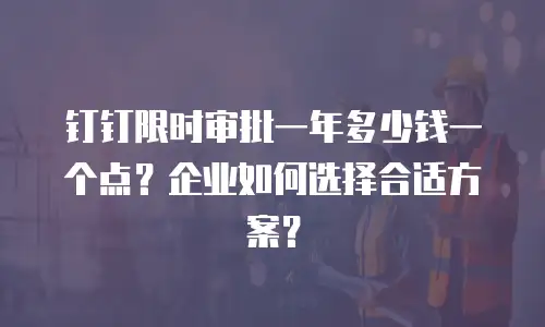 钉钉限时审批一年多少钱一个点？企业如何选择合适方案？