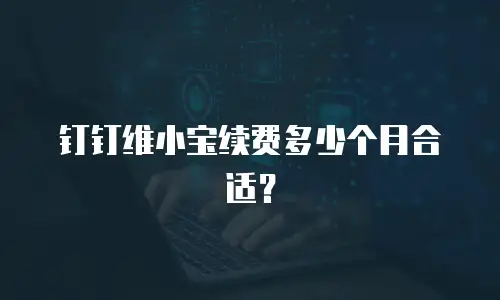 钉钉维小宝续费多少个月合适？